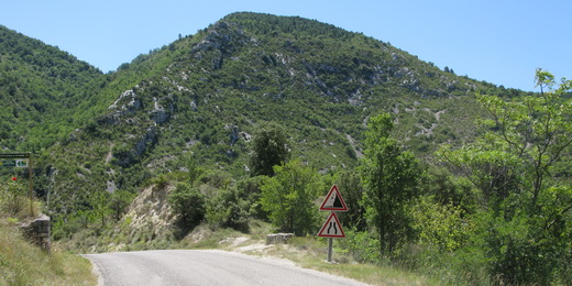 79