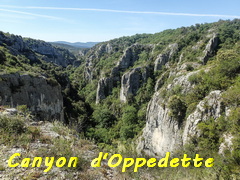 oppedette
